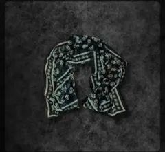 Item thumbnail for item d9e17fb6-bb54-48bb-96f5-8d2c9ec2051a