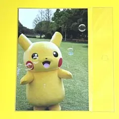 【Pikachu】2017 ピカチュウ大量発生チュウ！ ポストカード A 未開封