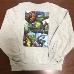 シューラルー　キッズ　コラボ　最強王図鑑　恐竜　トレーナー　グレー　120cm