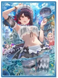 ゼンレスゾーンゼロ エレン 水着 スリーブ 60枚