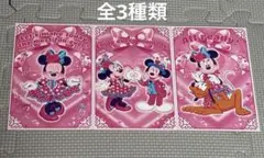 【値下げ】ディズニーパルパルーザ ミニーのファンダーランド カード3種類