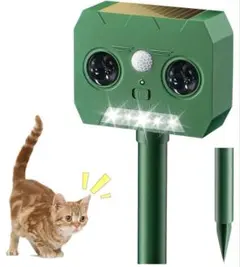 Item thumbnail for item 62c04a5e-9c40-44be-bb5b-ea31edac227e