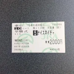 １９９４年 第３９回有馬記念 全14頭出走 単勝馬券 1994年 第39回 有馬記念 ナイスネイチャ 単勝馬券 - メルカリ