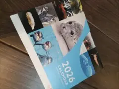 Item thumbnail for item 77b1d809-a0a0-453f-b143-cadd996fcf13