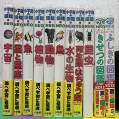 小学館の図鑑　NEO 9冊 小学館のこども図鑑　プレNEO 2冊
