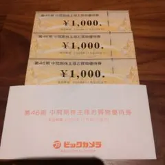 【ビックカメラ】株主お買物優待券 ¥1,000×3枚
