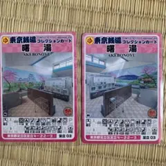 足立23 玉の湯 東京銭湯コレクションカード 風呂コレ 銭湯トレカ 銭湯