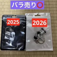 ケツメイシ クッションX2個 会場限定カラビナマグ（愛知） カナビナ
