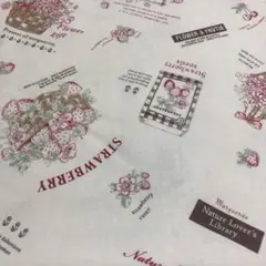 YUWA松山敦子オリジナル布　いちご　バスケット　ベージュ