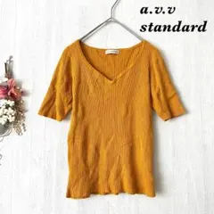 アーヴェヴェスタンダード トップス ニット 半袖 Vネック リブ シンプル S