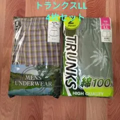 Item thumbnail for item 5b6096c6-d6b4-4caf-9973-ea7c617ddfa2