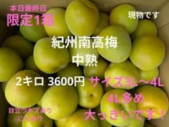 紀州南高梅中熟 サイズ3L〜4L 2キロ 3600円キズ・にえ・ススありのサムネイル