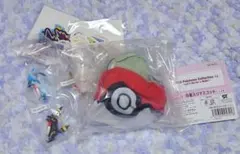 ハ*レ様 ポケモン 一番くじ E賞 巾着入りマスコット みがわり おまけ付き