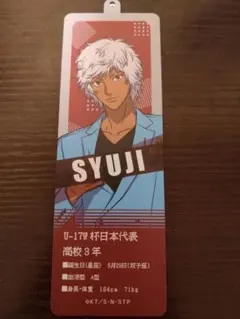 テニプリ テニスの王子様 新テニ 種ヶ島修二 コレクション缶バッジ