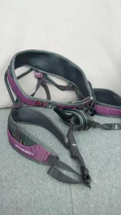 Item thumbnail for item 17234c4b-38a1-4a5b-b688-0d0b78ed124f