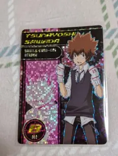 ま*ろ様 沢田綱吉　サザンクロスバトル　REBORN　C01