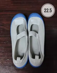 Item thumbnail for item 227042ae-938d-485b-b795-3bc68db14809