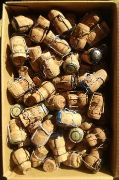 スパークリングワイン用コルク ワイヤー付き　2kgセット②