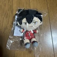 【即購入⭕️】フリューくじ ハイキュー！！