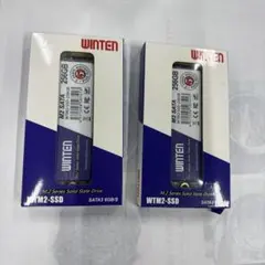 WINTEN M.2 SSD 256GB 2枚セット