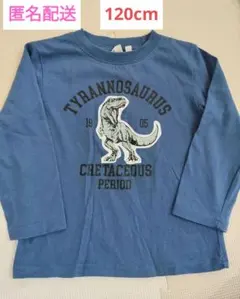 匿名配送　恐竜　ロンT　長袖Tシャツ　120cm