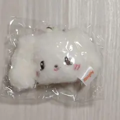 ANITEEZ IN COLOR HETmongi ヨサン フェースキーリング