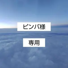 ピンバ様 リクエスト 2点 まとめ商品
