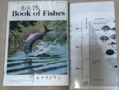 2026年最新】魚図鑑 初回限定の人気アイテム - メルカリ