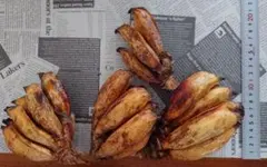 けぃちゃん様 リクエスト 2点 まとめ商品