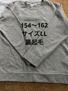 VANDASHスウェット、トレーナーLLグレー