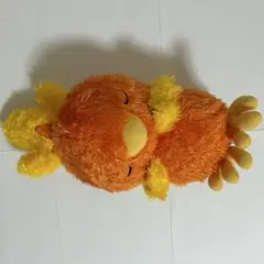 ポケットモンスター アチャモ ぬいぐるみ