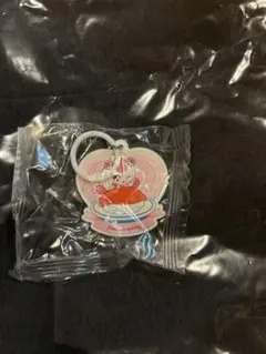 キャッチ！ティニピン くら寿司 アクリルキーホルダー ハチュピン