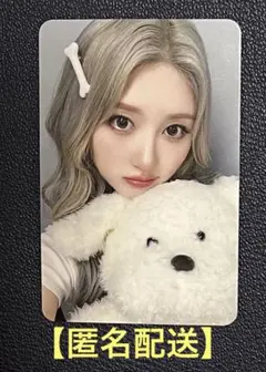 IVE ガウル　まとめ売り　ダリ　トレカ　ぬいぐるみ IVE MINIVE DAL-E ぬいぐるみ マスコット ダリ ガウル - メルカリ