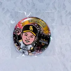 若鷹ガチャ リーグ優勝 津森宥紀 缶バッジ