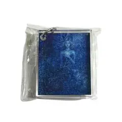 工藤静香 アクリルキーホルダー 新品　DS2025