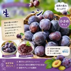 林恵子様専用 北信州の美味しいフルーツの詰め合わせセット - メルカリ