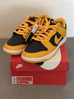 NIKE DUNK LOW RETRO イエロー/ブラック 10