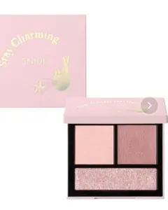 本日限定価格！SNIDEL BEAUTY ティラードカラーアイズ　09 限定色
