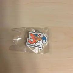 ポケモン 30周年 メタルチャームマスコット リザードン