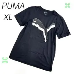 Item thumbnail for item 8569a912-d24c-4f4e-b546-6a99220e78e9