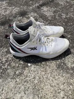 asics GLIDE NOVA グライドノヴァ ff2 バッシュ30cmのサムネイル