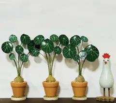 Ornament 置物