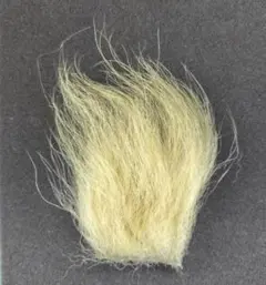 Item thumbnail for item a39eca0e-4ef6-4af5-b0ae-94ab330f8d50