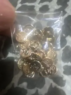 Rady ボタン　29個