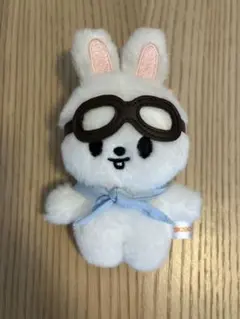 2026年最新】skzoo ぬいぐるみ 10cmの人気アイテム - メルカリ