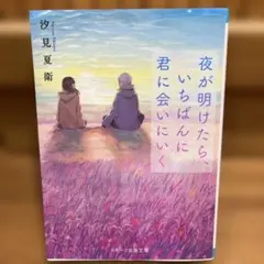 夜が明けたら、いちばんに君に会いにいく 汐見夏衛