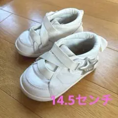 ifme nature キネティックベルトスターモチーフスニーカー　14.5