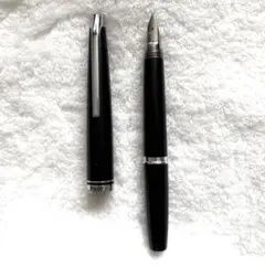 I*長様 【新品】完全未開封 PILOT 万年筆 細字F 廃盤 ヴィンテージ