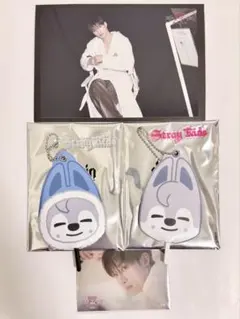 Stray Kids スキズ dominATE JAPAN バンチャン