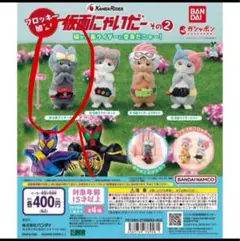 仮面にゃいだー その2